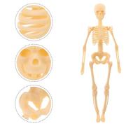 Generic Human Skeleton Model Full-Body Anatomy Skeleton Educational DIY Assembly Kit for Students for Biology Study Teaching Aid