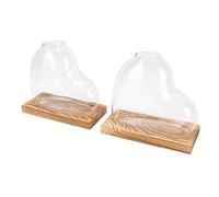 Generic Hydroponic Heart Shaped Glass Desktop Planter for Easy Plant Growth, Ideal for Home Office Decor & Gift, 2PCS Propagation Vases for Room, Counter (Brown)