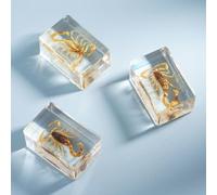 Generic Insect Stone Natural Scorpions Inclusion Amber Specimen Travel Paperweight Resin Party E2W7 Decorative C Stone Wedding Gift