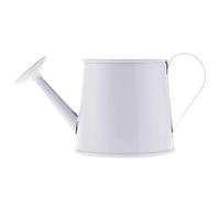 Generic Iron Watering Can Ornament, Decorative Iron Figurine for Home, Office, Garden And Party Decoration, White