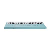 Generic Keyboard Piano, Electrical Piano Keyboard 5 Rhythms Plastic 54 Key 6 Songs with Microphone for Interior for Learning (Blue)