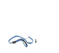 Generic LED Dog Leash 4FT Bright Glow in The Dark Safety Leash Ideal for Night Walking Soft Nylon Material (Blue)