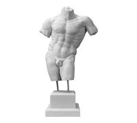 Generic Male Body Torso Man Art Greek Cast Marble Statue Sculpture Copy White 21.25 in