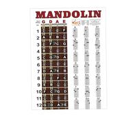 Generic Mandolin Chords Chart Reference Guide,22.05''x15.75'' Wall Chart Fret Board,Notes Fingering Diagram Poster for Beginners