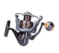 Generic Metal Spinning Fishing Reel High Strength Easy Casting for River Lake Ocean SW2000 SW3000 SW4000 1PC (SW2000)