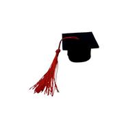 Generic Mini Graduation Caps Bottle Toppers, Table Decorations for Graduation Parties (Red Tassel)