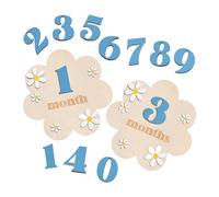 Generic Monthly Milestone Cards, Double-Sided Print, Keepsakes for Newborns (0-12 Months), Growth Documentation, Gift, Wood, Discs, Blue