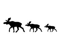 Generic Moose Sticker 50 x 15 cm or 30 x 10 cm Motorhome Caravan Caravan (72) (50 x 15 cm, White Gloss)