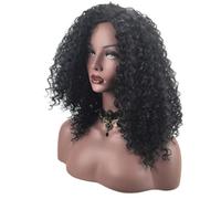 Generic Natural Looking Small Curl Hair Wig for Women in Black, Ventilative High Temperature Wire Material, Fashion Style Suitable for Celebration and Fancy Dress