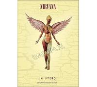 Generic Nirvana Poster Vintage Rock Band Grunge Punk Rock Wall Art Picture A4