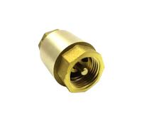 Generic NPT Brass Check Valve Female Thread in-Line Spring for Water Control 1/2" 3/4" 1" 2" 1-1/2" 1-3/4" DN15 DN20 DN25 DN32 DN40 DN50(1")