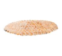 Generic Ocean Themed Drink Cup Coaster with Shell Design, Non-skid Desktop Coaster Made of Sturdy Shell Material, Easy Cleaning and Elegant Beach Style for Home and Kitchen Color