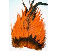 Generic orange cock saddle flytying dry hackle,fly fishing