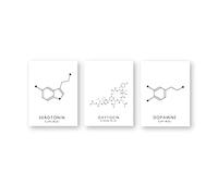 Generic Oxytocin and Dopamine Line Drawing Poster, Molecule Serotonin Wall Art, Canvas Painting, Chemistry Science Picture, Unframed-50X70cmX3