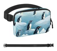 Generic Penguins on Iceberg-1503 Unisex Style Fanny Pack: Fashion Waist Packs, Crossbody Bags Sport Slim Fashionable for Jogging Hiking Hiker Woman Man, Multicolor, 1.5x9.0x5.9in/4x23x15cm