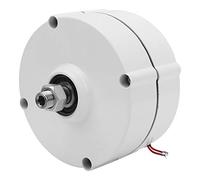 Generic Permanent Magnet Generator, 100W Generator 3-Phase Ac Alternator with Die-Cast Aluminum Alloy Cover for Industrial Use and Power Generation (With rectifier 24V)