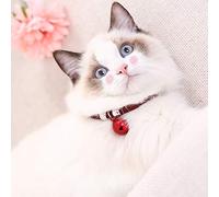 Generic Pet Bell Collar Japanese Style Nylon Cat Necklace with Extension Chain, Adjustable Cat Collar with Bell, Red/Blue/White, 14.96", for Owners (Jian Hong)