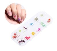 Generic Pink 12 Colors Dried Flower for Nail Art Design DIY Decor Case, Bright Color Not Easy to Fade, Great for Manicure Decor with Nail Polish, Safe and Harmless, Applicable for DIY Tool (C suit)