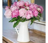 Generic Pink Peony Bouquet: 10 Stems, Fresh Peonies Delivery UK