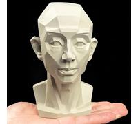Generic Planar Head Model for Artists Learn Planes of Face, Human Head Manikin Art Study Reference Model for Drawing, Sketching, Painting and Anatomy Sculpture (Large, 13cm)