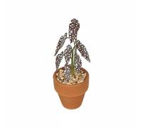 Generic Pot Miniature Plant Dollhouse Accessory Terracotta Pot Ornament Birch Material Realistic Texture Lifelike Leaves 1 12 Scale suitable for dollhouse, Brown