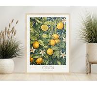 Generic Print of a William Morris Citrus, Lemon Fruits, Flowers, Poster, William Morris Exhibition Print, William Morris Poster, Vintage Wall Art, Without a frame!(1) (A2 23.38 x 16.53 in)