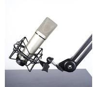 Generic Professional Condenser Microphone Boom Arm Holder Springless Adjustable Mic Stand for Podcasting (Short 42CM)