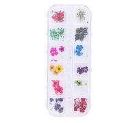 Generic Real Flower Dried Nail Decor Bright Colors Leakproof Case for Acrylic UV Gel Nails DIY Manicure (C suit)