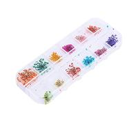 Generic Real Flower Dried Nail Decor Bright Colors Leakproof Case for Acrylic UV Gel Nails DIY Manicure (Type A Gypsophila)