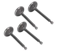 Generic Replacement Intake Exhaust Valve Kit Durable Practical 2 Set for 2.5kw 3kw Gasoline Engine Generators Forestry Aquaculture