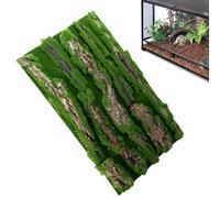 Generic Reptilian Compact Reptile Tank Transparent Housing Decorative Structure Anti-Escape | Modular Enclosure Providing Comfortable Environment for Amphibians, Lizards,