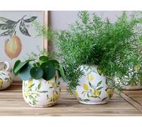 Generic Round Lemon Pattern Plant Pots, White Plant Pots, Succulent Plant Pots, Lemon & Green Leaves Mediteranean Style Plant Pot Covers, Pottery Planter, Round Limone Pot (Small 14 x 15cm)