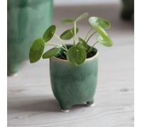 Generic Small Forest Green Tripod Plant Pot - Positano, Mini Planter, Small Green Plant Pot, Succulent Planter with Legs, Green Plant Pot Cover with Feet, Positano