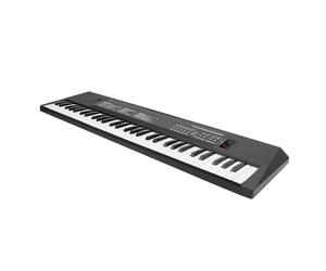 Generic Smoothly Crafted 61 Key Keyboard Piano, Easy to Operate Electronic Keyboard with Multiple Features, Great for Developing Skills in Children Over 3 Years Old
