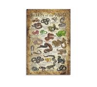 Generic Snakes of The World Canvas Art Poster And Wall Art Picture Print Modern Family Decor 12x18inch(30x45cm) Living Room, Bedroom, Bathroom, Dining Room