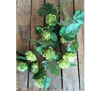 Generic Stem of Faux Silk Artificial Green Hops, 3 Styles Realistic Greenery, Artificial Wild Flowers Hops Stem, Individual or 2 Stems of Decorative Tall & Short Faux Hops Decoration (1x Stem 76cm)