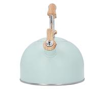 Generic Tea Kettle, Stove Top Kettle Tea Pot with Cool Grip 2.5 Liter Whistling Stainless Steel Green for Kitchen Use, Universal