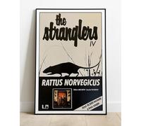 Generic The Stranglers Rattus Norvegicus Poster Album CD Concert Tour Live Promo : A Huge 36""x24"" Poster : BRING YOUR WALLS TO LIFE !