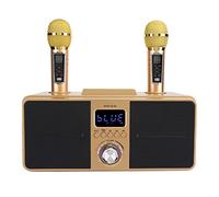 Generic Versatile Family Karaoke Speaker with Clear Sound and Wireless Microphone for Entertainment Enthusiasts (Gold)