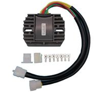 Generic Voltage Regulator Rectifier for Suzuki VStrom Honda CBR 600 VFR VF 800 750 700 250 Ducati Monster Superbike SuperSport Sport Touring Classic Multistrada HyperMotard Repl. 31600-MZ5-003 New Z66