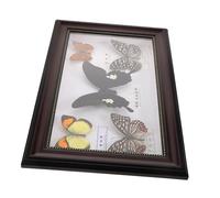 Generic Wall Decoration Picture Frame Butterfly Insect Specimens Room Decor Butterflies Entomology Room Decor Real Butterflies Specimen Display Frames Room Decor Wooden