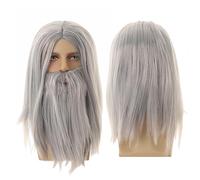 Generic Wizard Wig Long Straight Grey Beard Men's Cosplay Wig, Sorcerer Prophet for Carnival, Halloween, Christmas Party Costume (Grey)