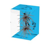 Generico 2 x Soft Sea Urchin Swimbait Bait for Bass Crappie, Catfish, Walleye, Salmon, Pike, Saltwater, Lake, River