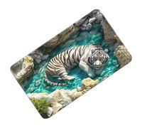 Generico 3D Optical Illusion Rug | Non-Slip Trap Effect, 3D Rug with Optical Illusion | for Halloween Decorations for Entrance Kitchen Bathroom