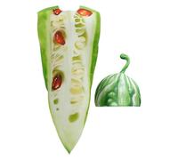 Genérico Adult Vegetable Costume | Bitter Vegetable Costume for Role Play Halloween | Costumes for Parties Birthday School Events Photos Carnival | Unisex Adults Teens Couples