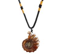 Genérico Ammonon Mussels Necklace, Natural Shell Jewelry, Animated Shell Decoration-Musselstein Follower, Handmade Chirlas Shell, Ammonite Jewelry