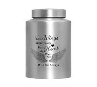 Genérico Angel Wing Dog Memorial - 6 Inch Silver Airtight Bone Souvenir Coffin Container | Outdoor Backyard Burial Resting Place Shelf for Living Room D