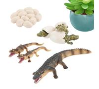 Generico Animal Cycle - Decorative Figure, Decorative Animal Model - for Preschool Teachers Educators Kindergarten School Class Home Birthday Homeschooling Studio