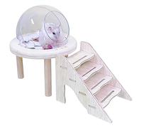 Genérico Bath for Small Pets - Transparent Toilet for Hamster with Ladder | Gerbil Bunny Hedgehog Chinchilla Cage Habitat Decor Play Toy Designed as a Pair of Bath