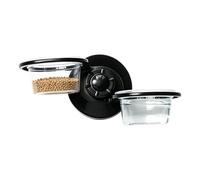 Generico Bearded Dragon Food Station with Water for Geckos | for Lizard Snake Hermit Crab Leopard Frog Chameleon Python Turtle